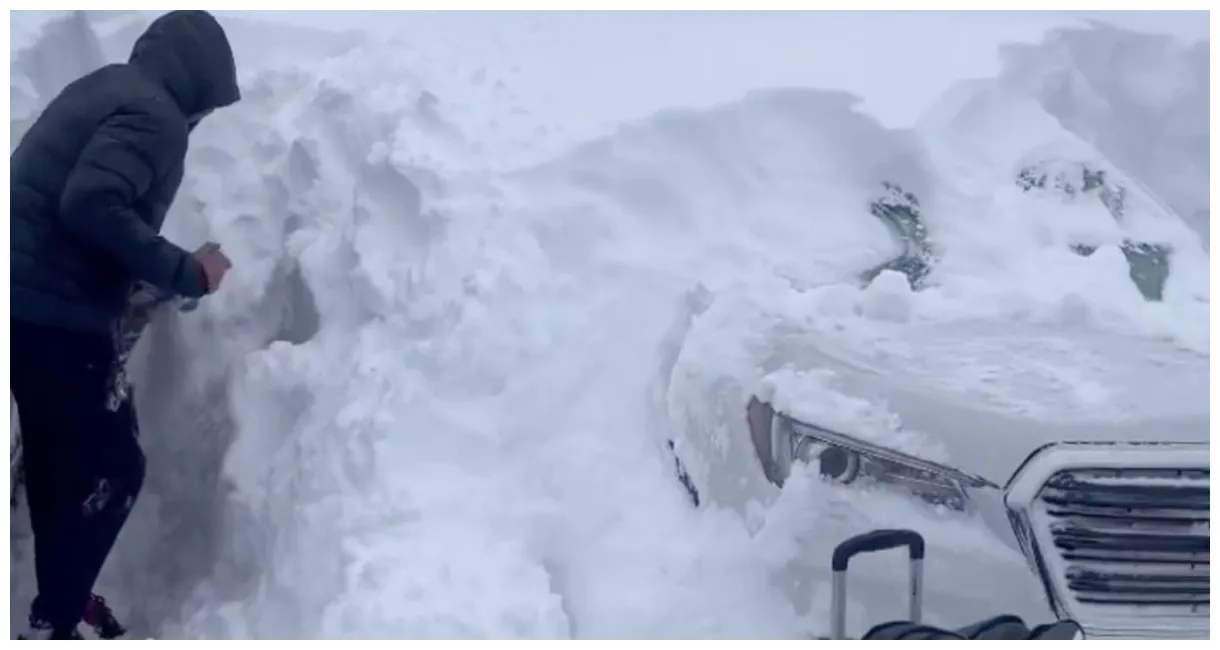 Buffalo Bills players dig out cars buried in snow - CBS News