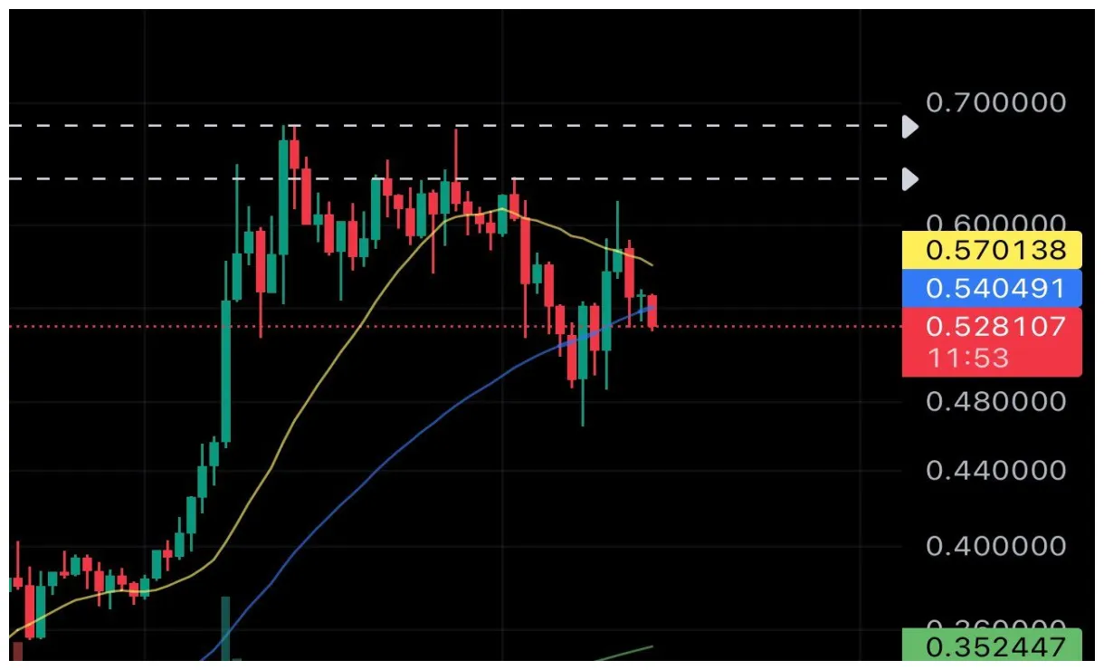 Cardano ada price fluctuation graph week 2 january 2026