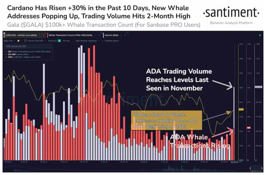 Cardano (ADA) Candlestick Graph Prediction - Week 2 January 2026