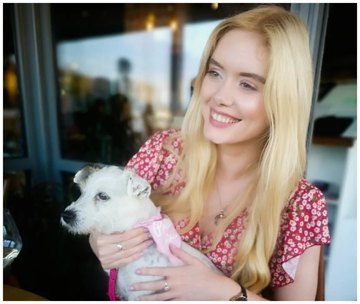 2020’s funniest cat videos 5 of the most hilarious kitties on the