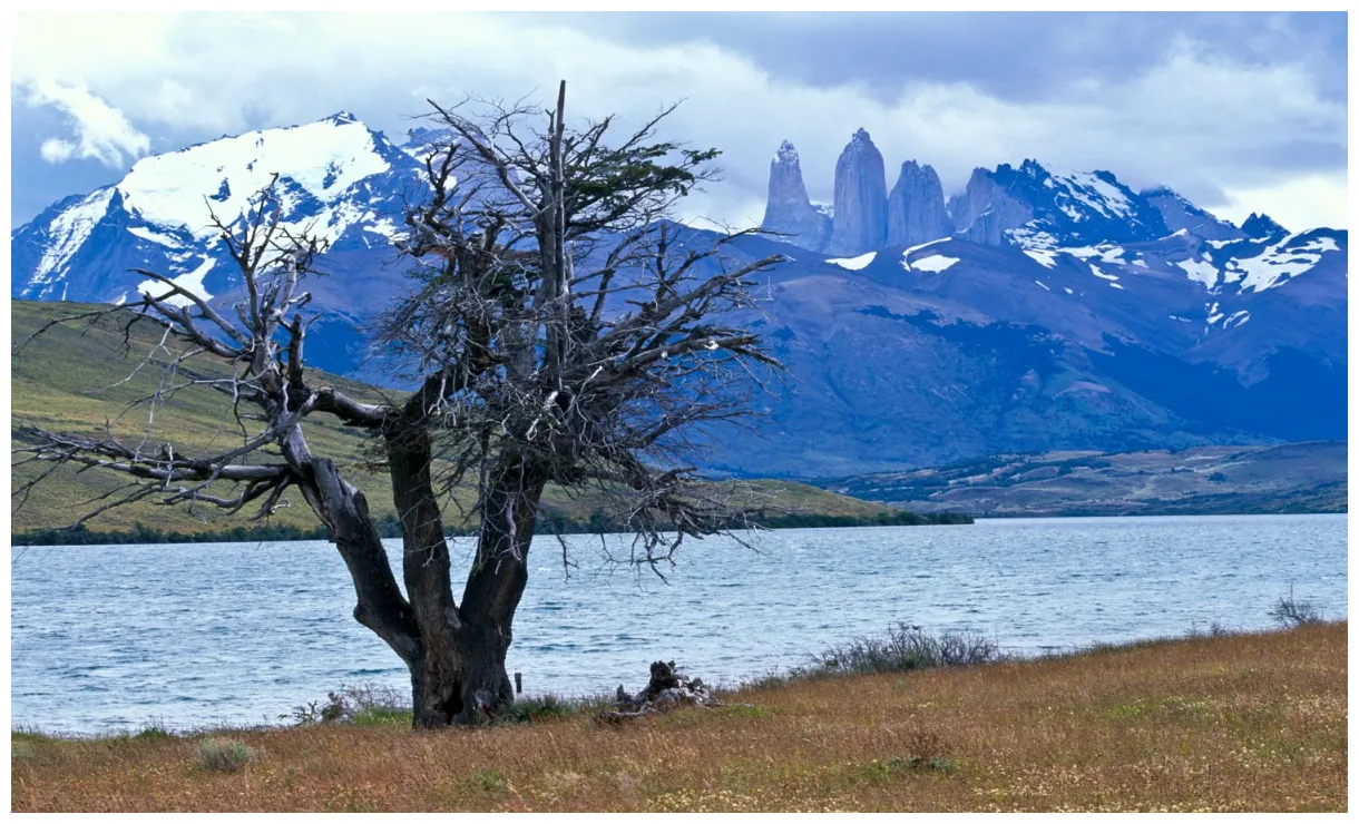 Fotografías de amart graphy