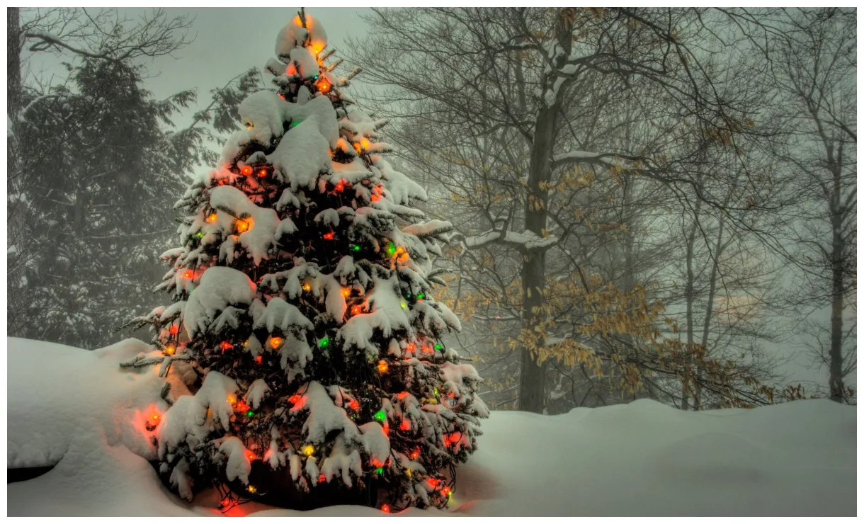 HD Wallpaper of a Snowy Christmas Tree with Holiday Lights