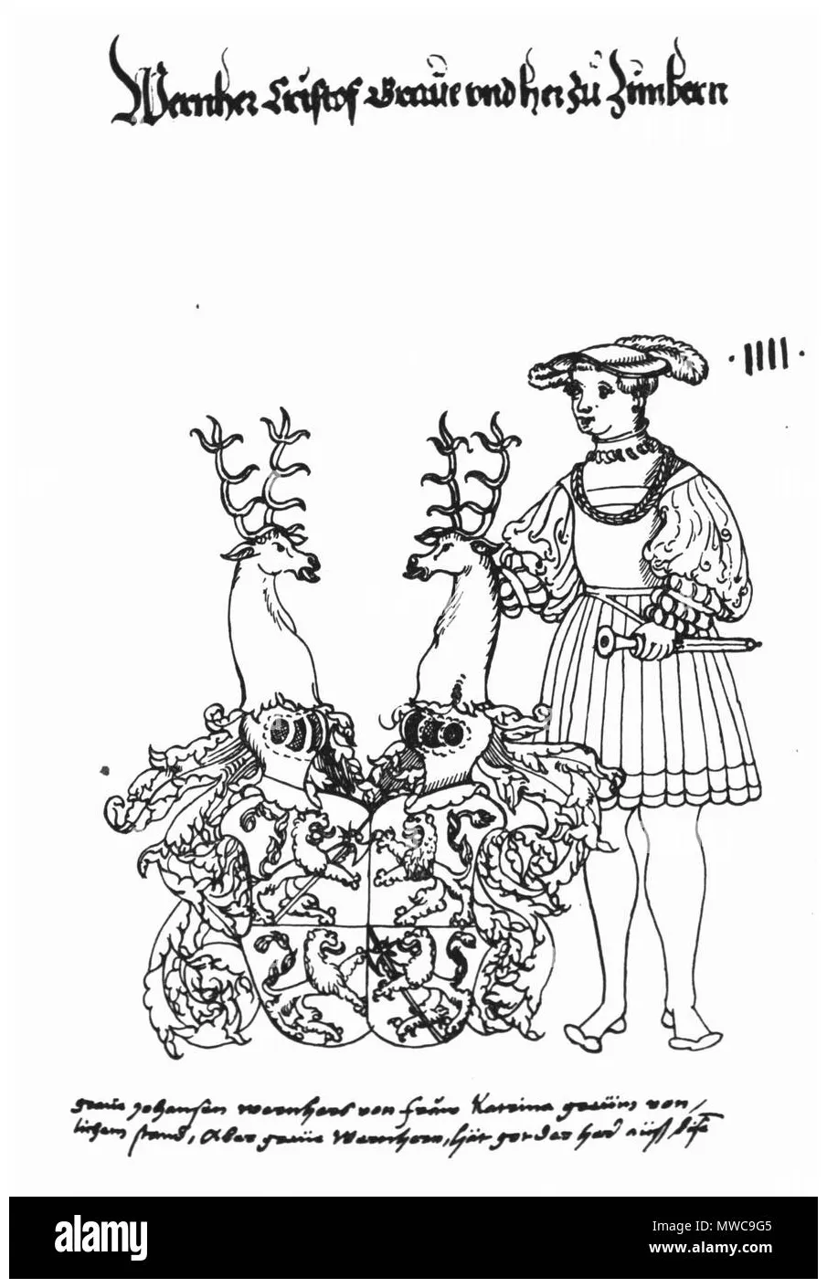 Banque de graphies et d’ s à haute résolution