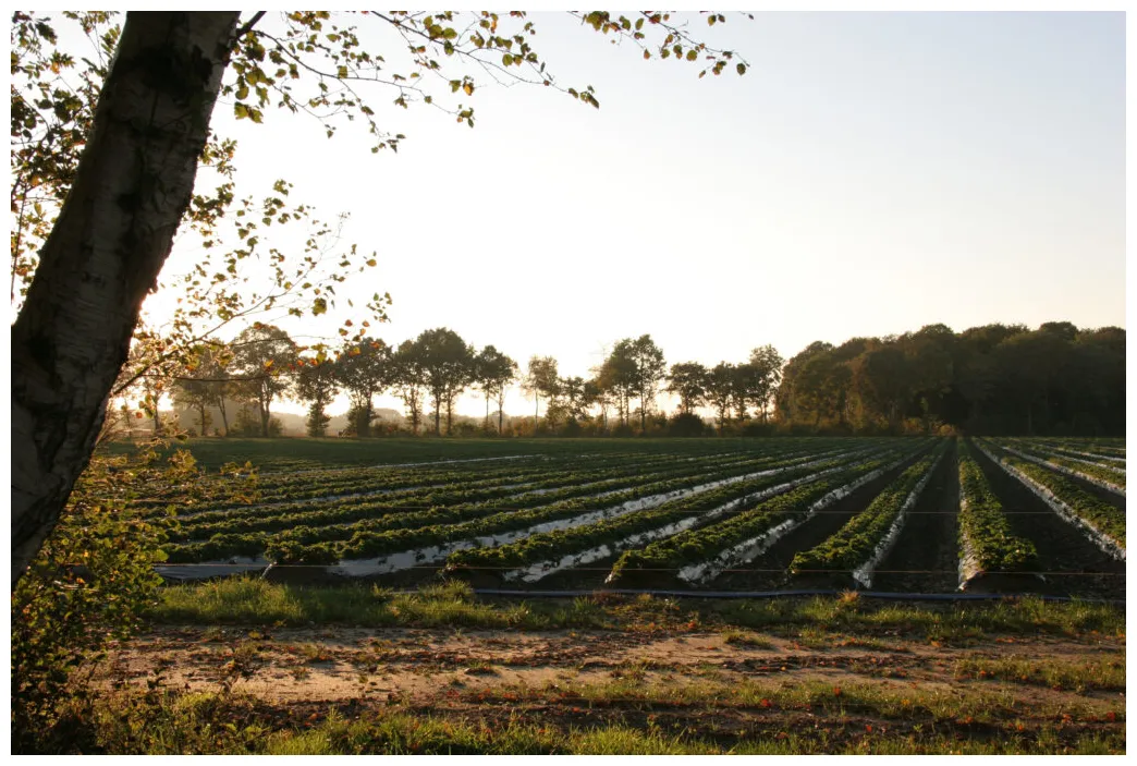Archive werner frische, auf ganzer linie