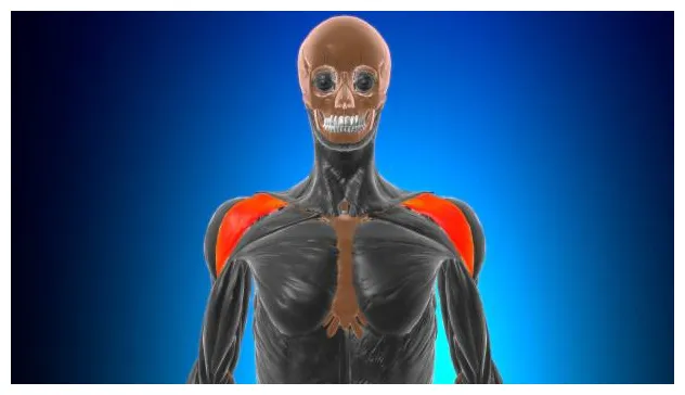 120+ s, pictures & royalty-free s istock