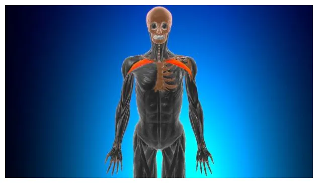 120+ s, pictures & royalty-free s istock