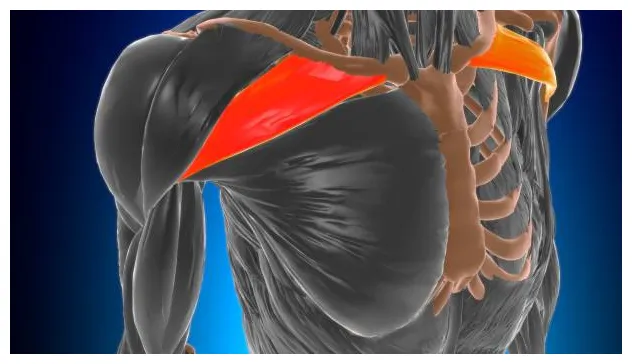 120+ s, pictures & royalty-free s istock