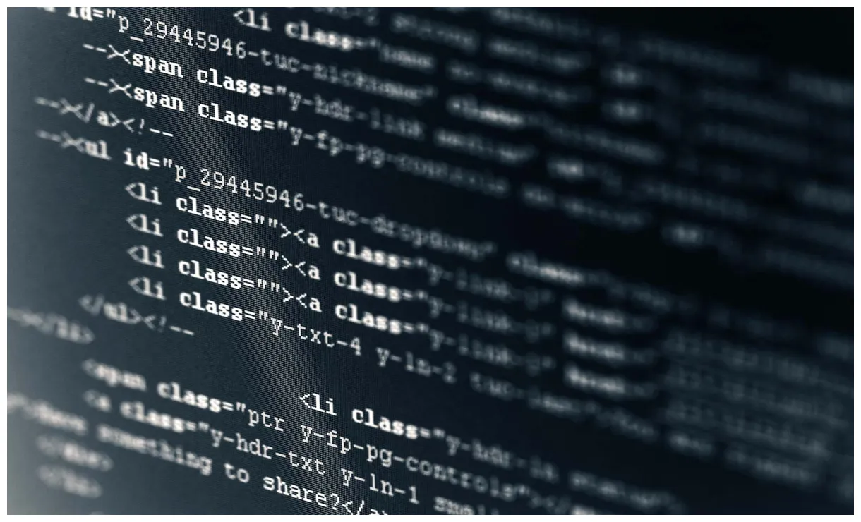 Why Everyone Should Learn to Code | PeepSo