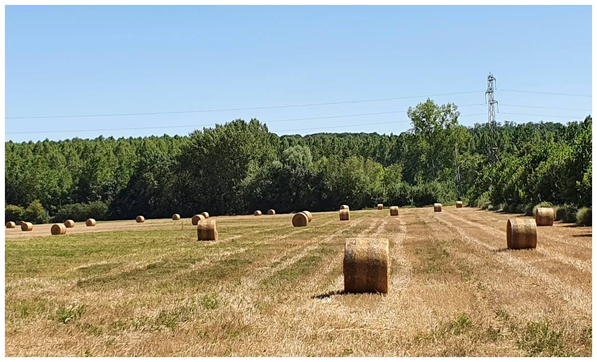 Info tours la remporte les élections agricoles en