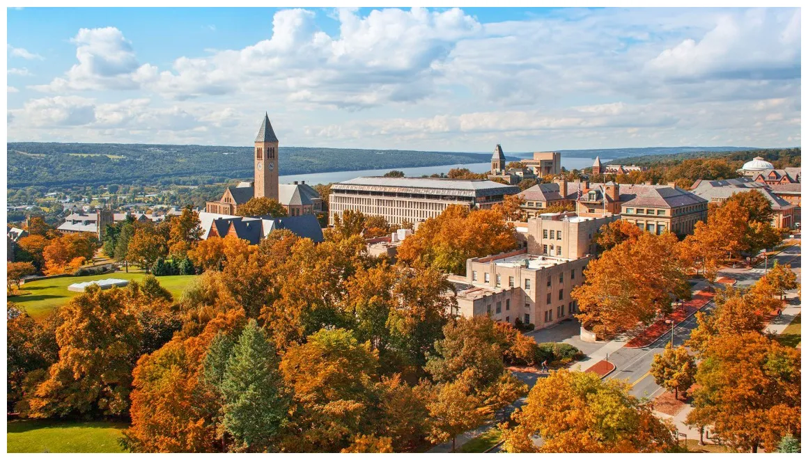 Ithaca green dish resources