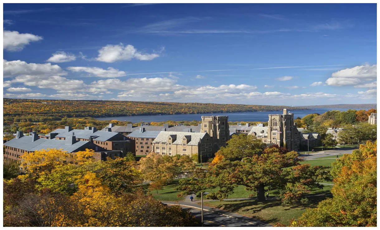 Housing student & campus life