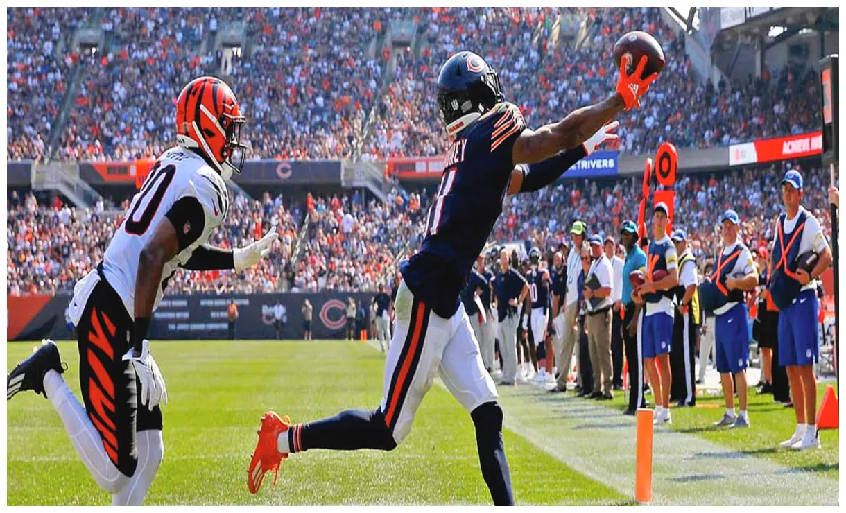 Stats 2024 career and game logs