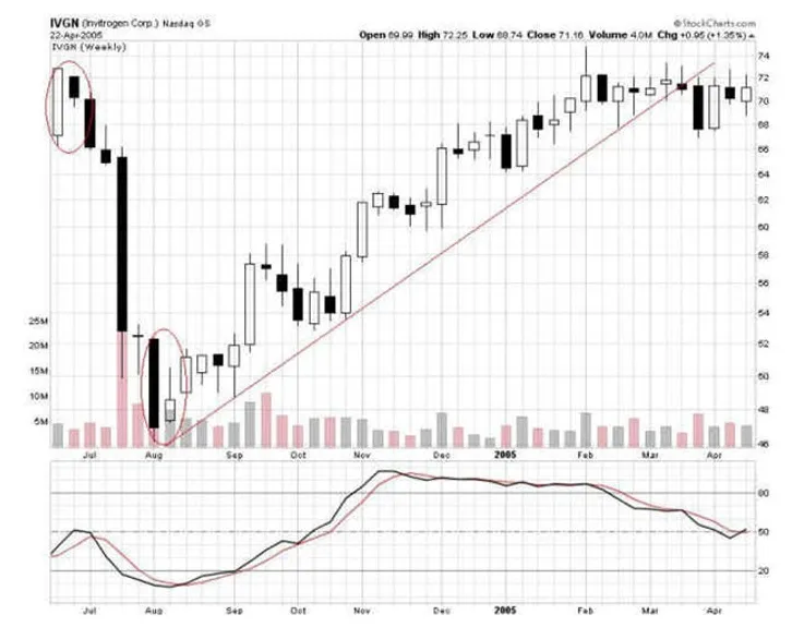 Dash dash candlestick graph prediction week 1 january 2026