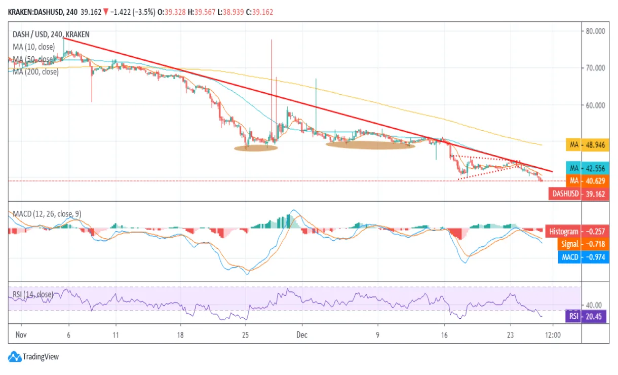 Dash dash historical performance graph week 1 january 2026