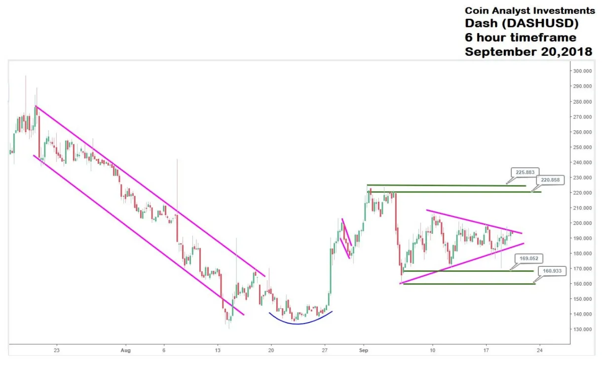 Dash dash historical performance graph week 2 january 2026