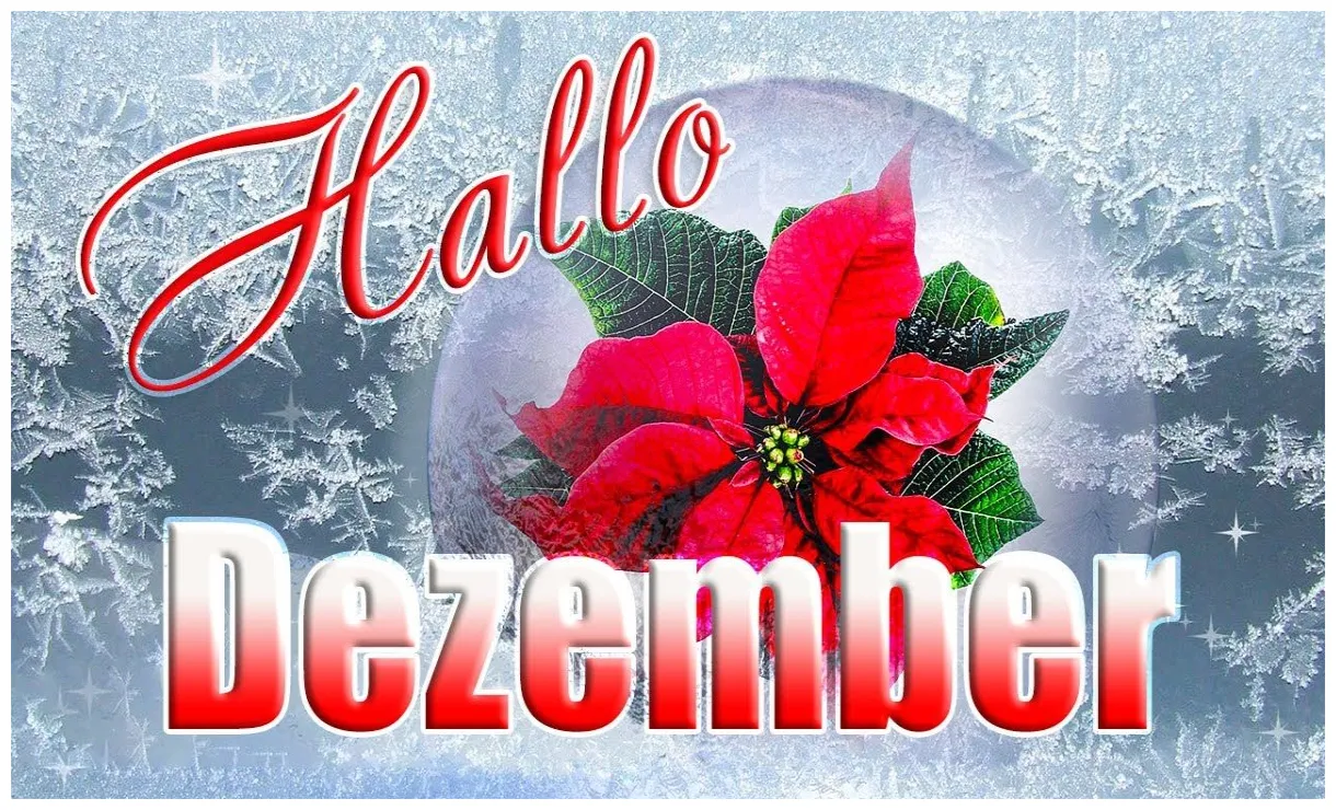 23 dezember guten morgen nel 2024