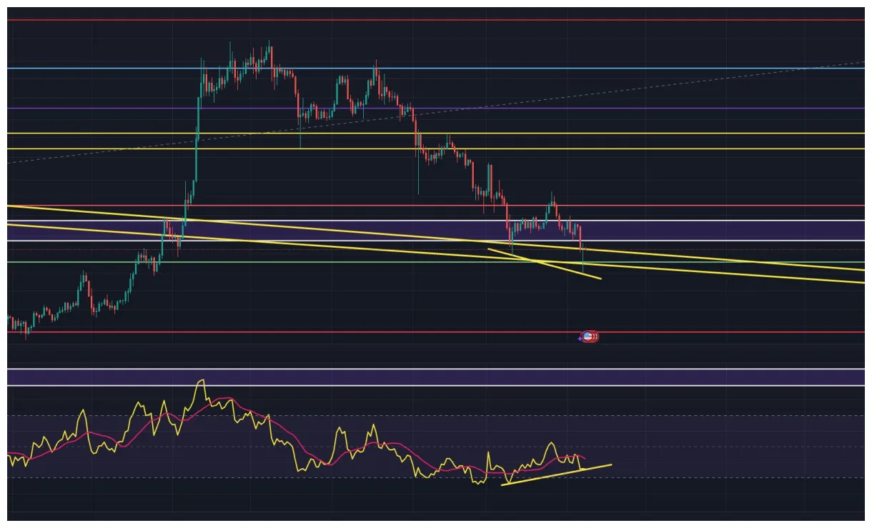 Dogecoin doge trading volume indicators week 1 january 2026