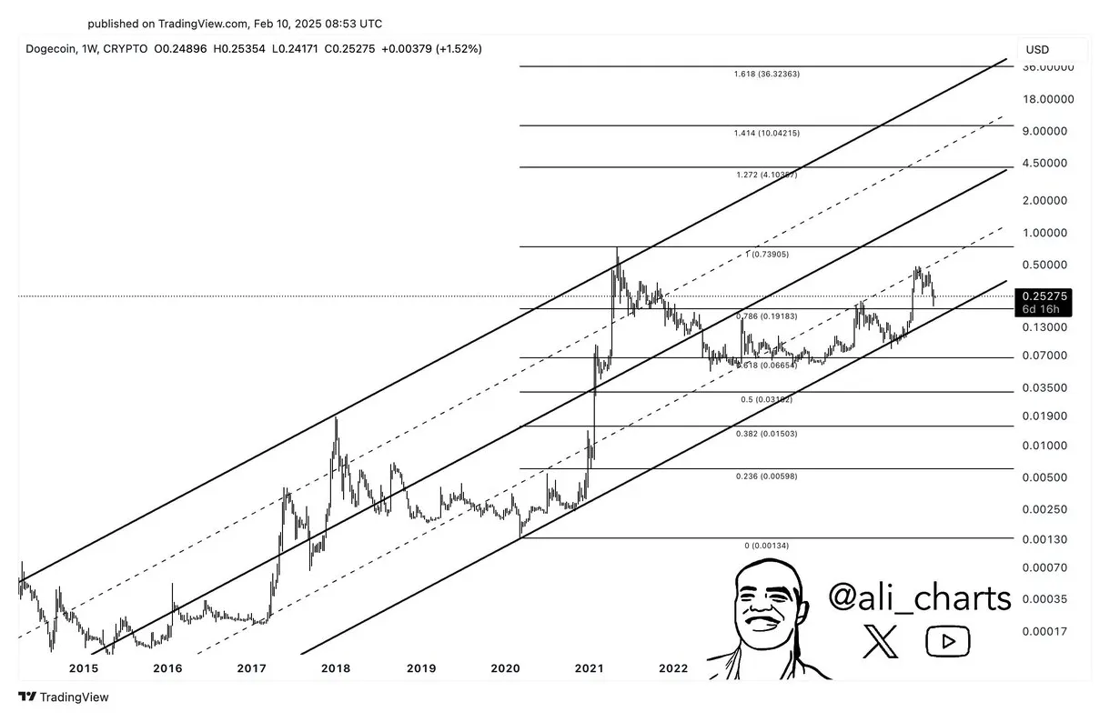 Dogecoin doge market trend analysis week 2 january 2026