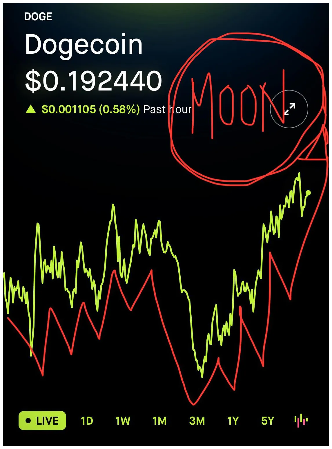 Dogecoin doge market trend analysis week 1 january 2026