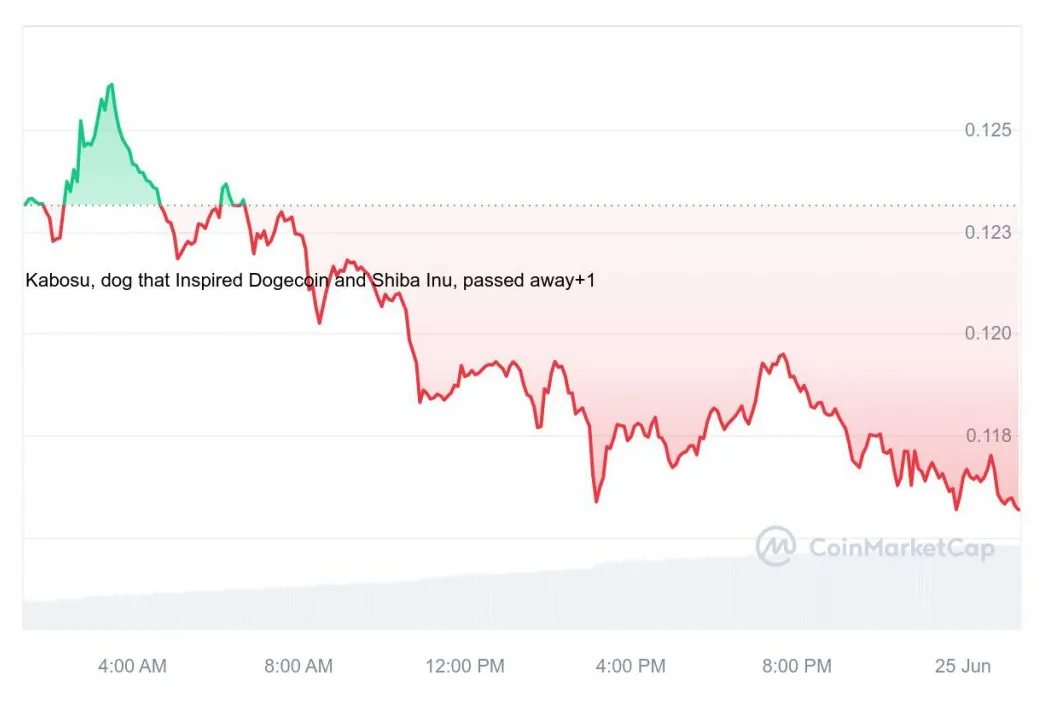 Dogecoin bearish signal indicator chart live update 2025