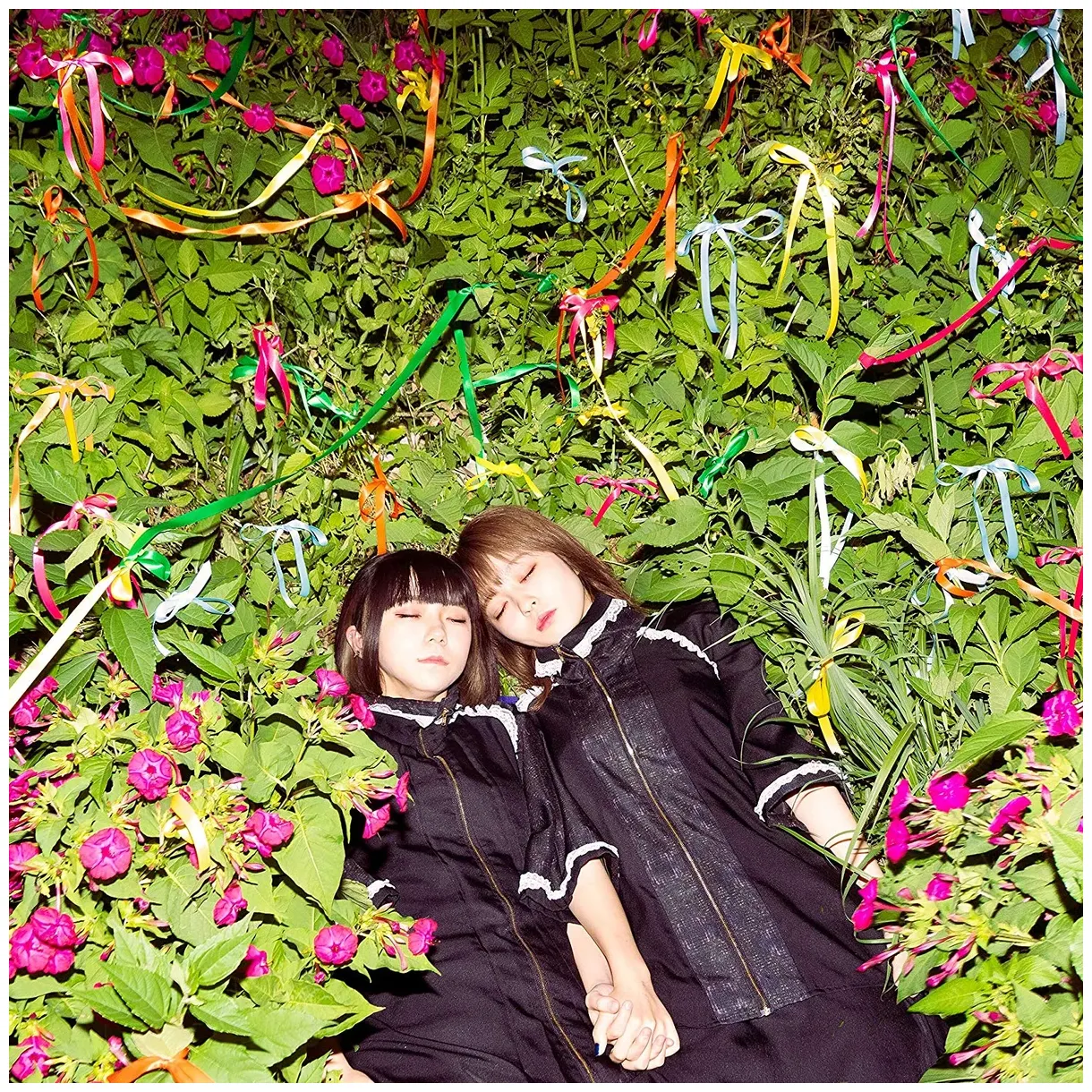 down | Jpop Wiki | Fandom