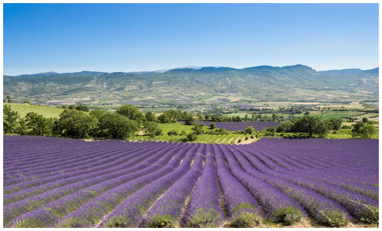 Drôme paris, je te quitte