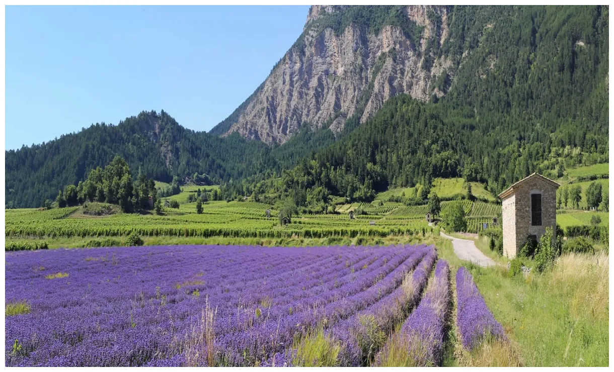 Drôme vacation rentals & airbnb cozycozy