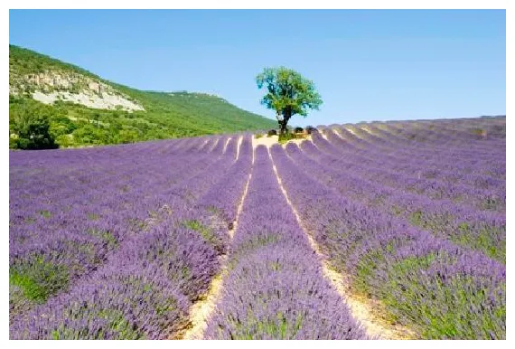 S featured s of , auvergne-rhone-alpes tripadvisor