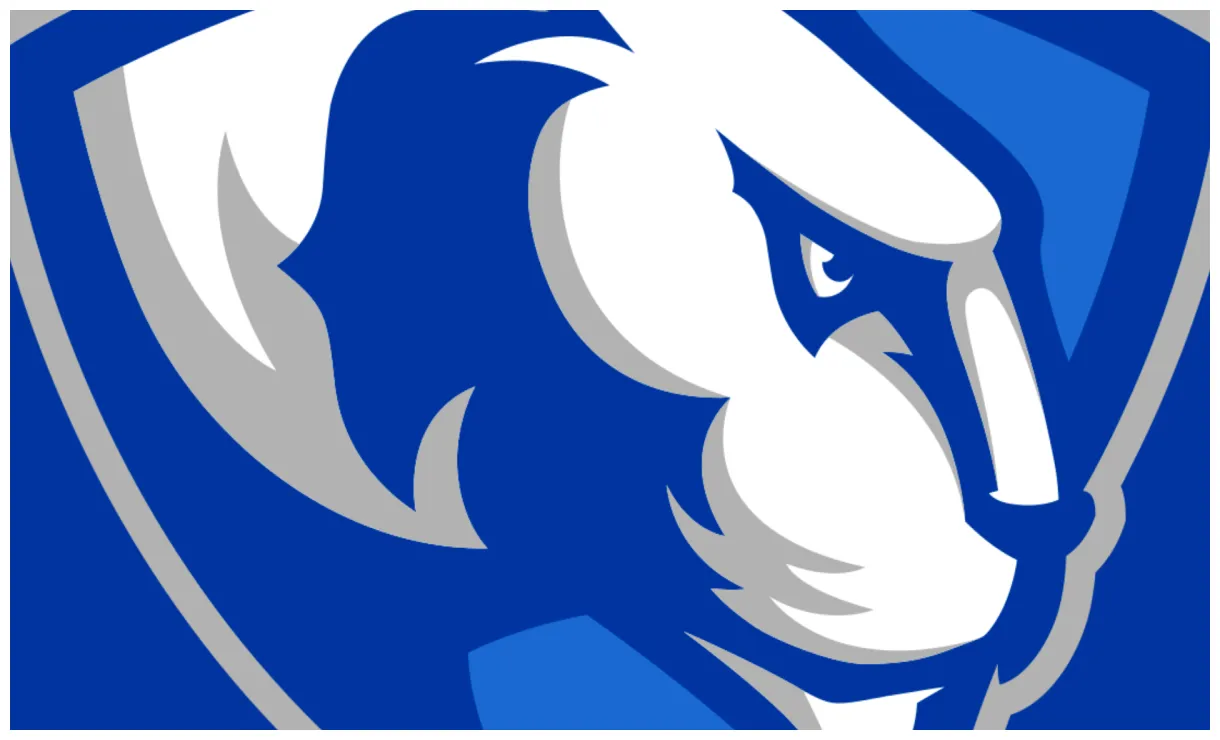 Staff update hoopdirt