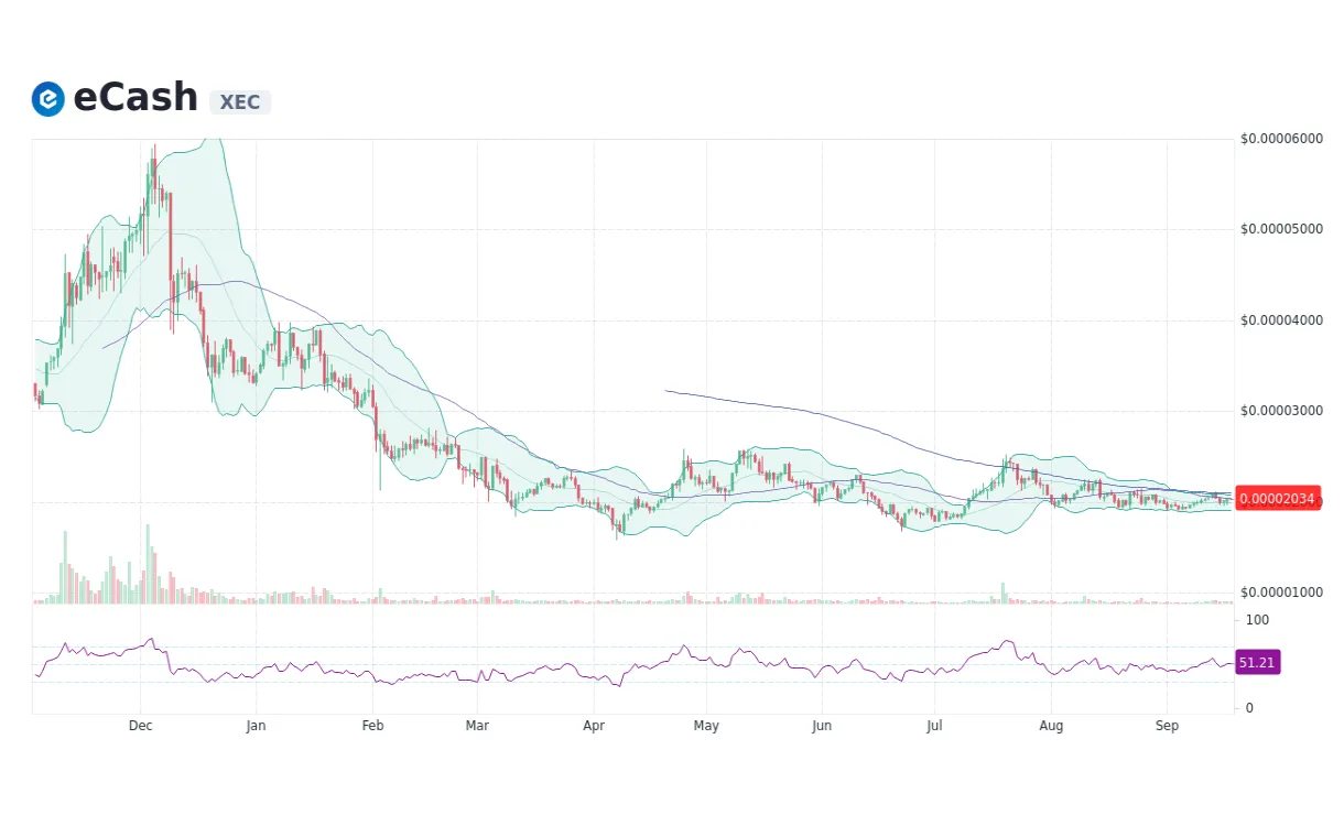 Ecash daily price chart analysis live update 2025