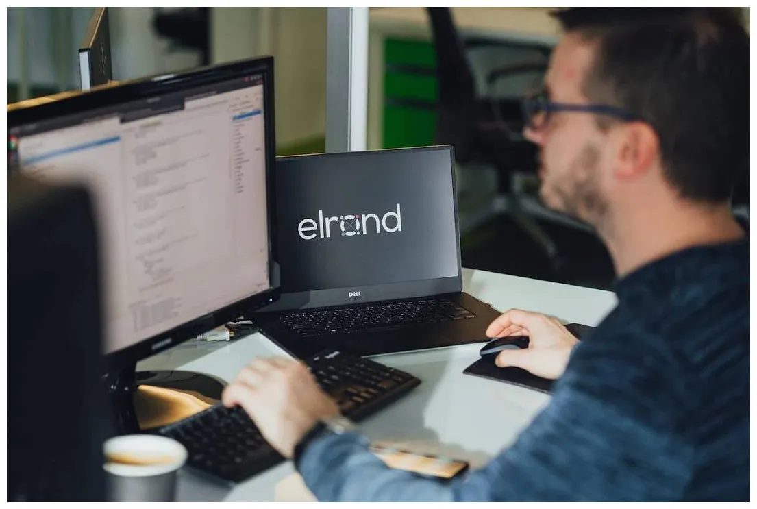 Elrond daily price chart analysis live update 2025