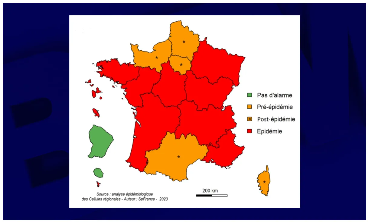 Dix-sept semaines d'épidémie... La grippe fait de la résistance