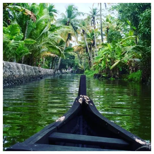 Travel guide 2022 best of tourism tripoto