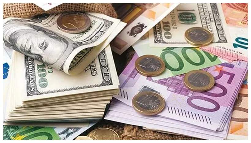 Euro 10 TL sınırında - Kocaeli Ekonomi