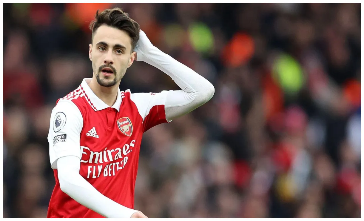 Arsenal fans told they should be 'very excited' as new signing is ready