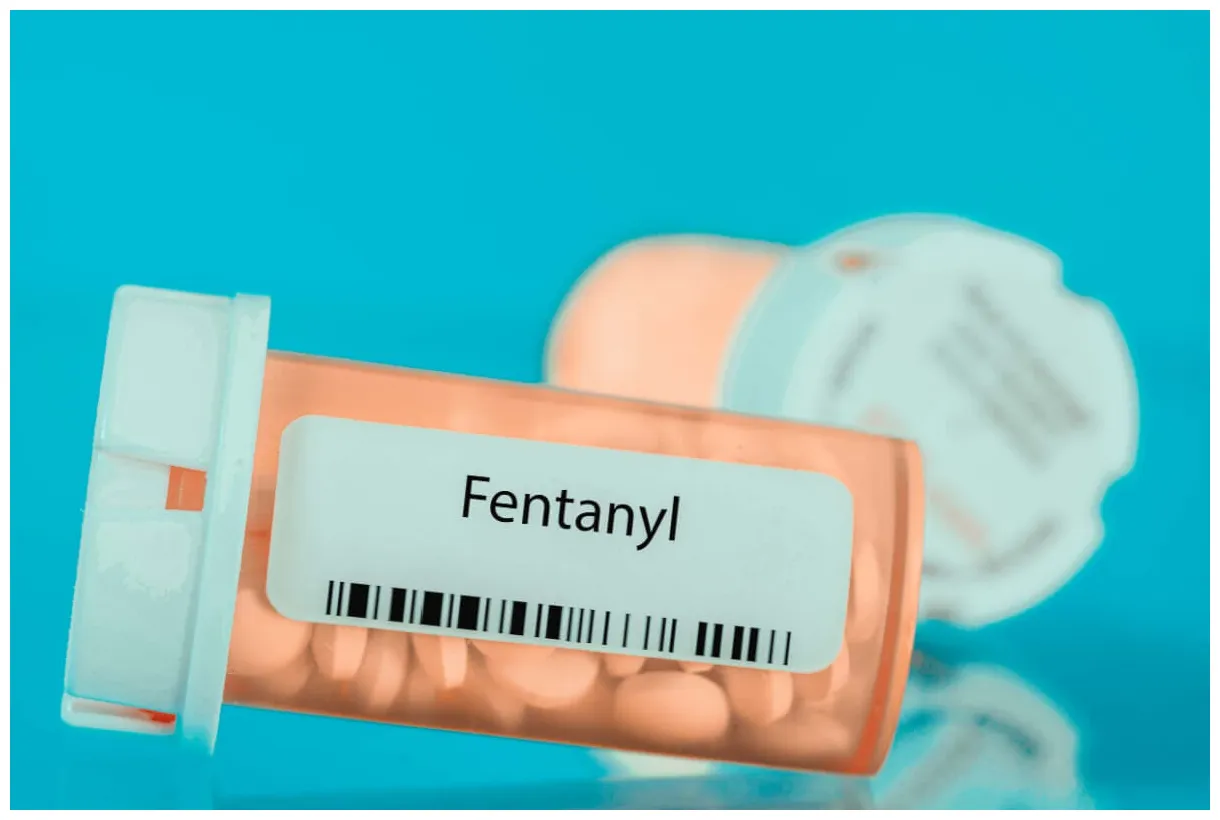 Identifying understanding look, smell & taste