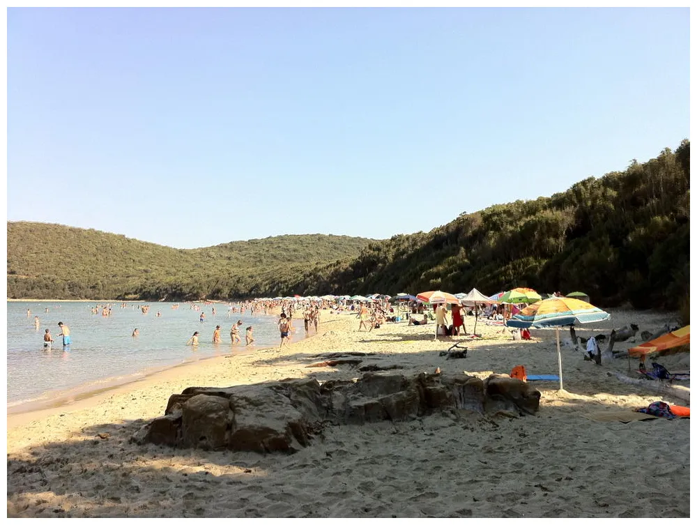 Things to do in attractions in