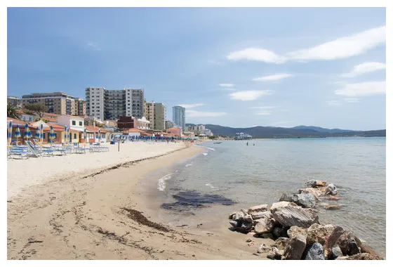 S browse 958 s, vectors, and video adobe