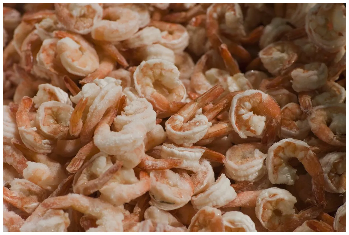 2020 list of products recalled over salmonella