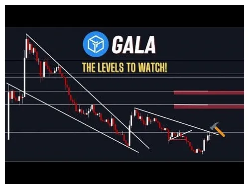 Gala gala market trend analysis week 2 january 2026