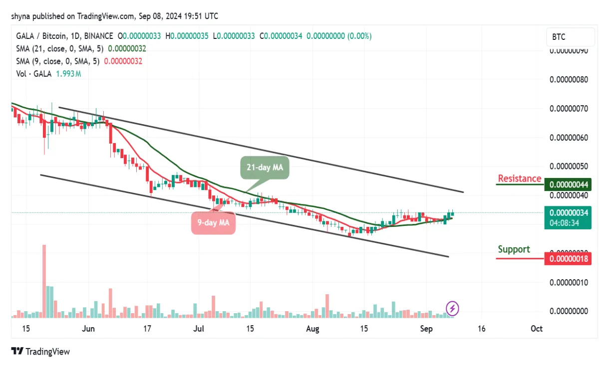 Gala gala daily price chart week 2 january 2026