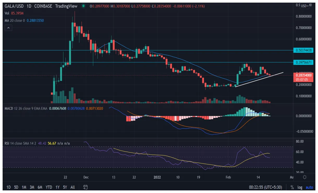 Gala gala price fluctuation graph week 5 december 2025