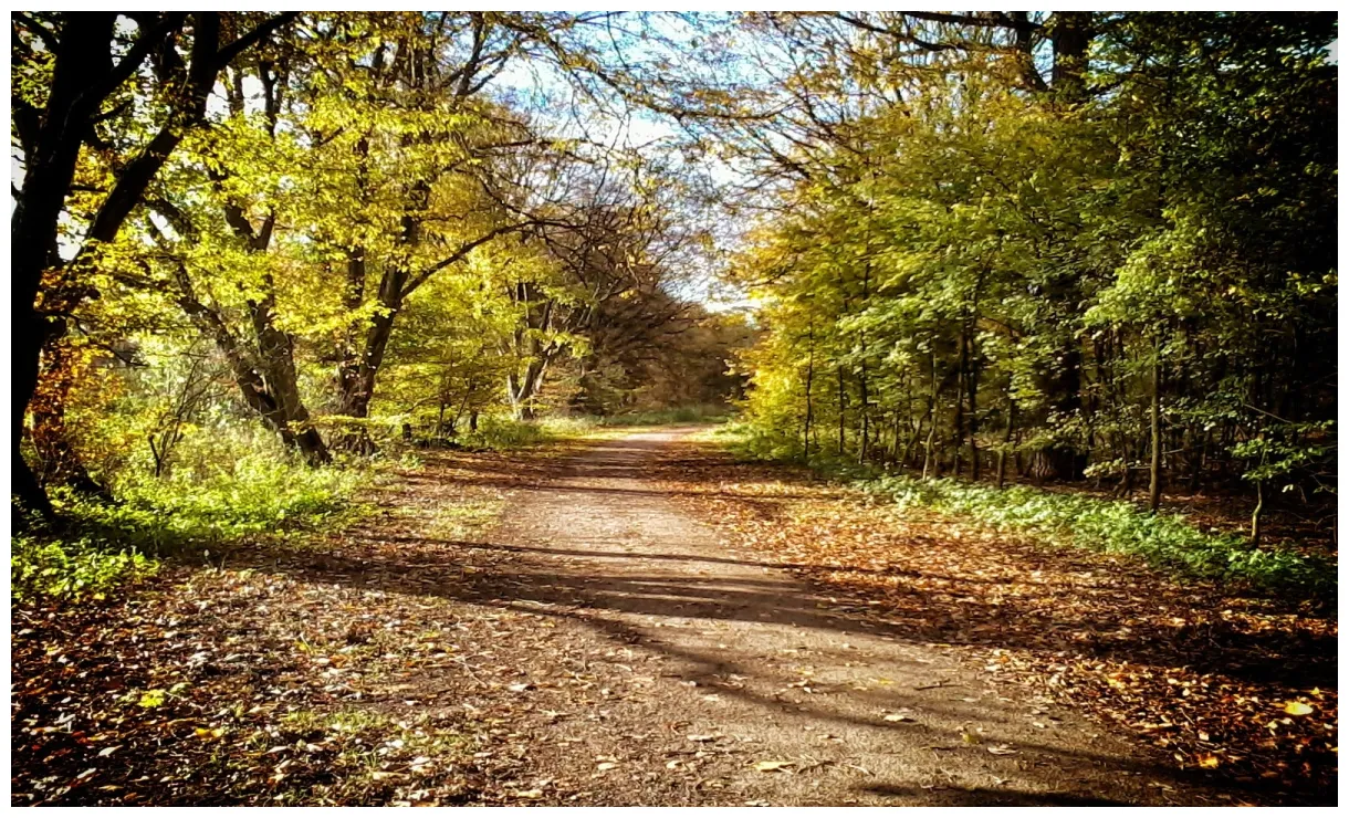 Gelsenkirchen Travel Guide: Best of Gelsenkirchen, North Rhine