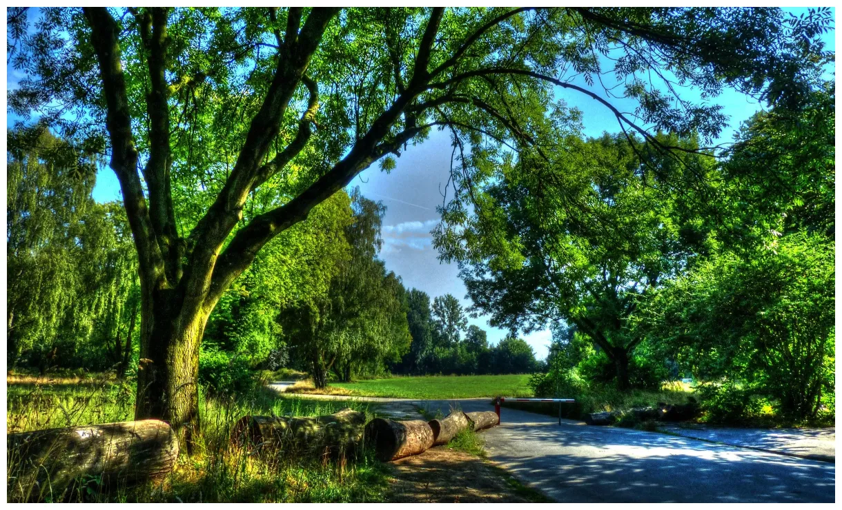 Visit Gelsenkirchen: Best of Gelsenkirchen Tourism | Expedia Travel Guide