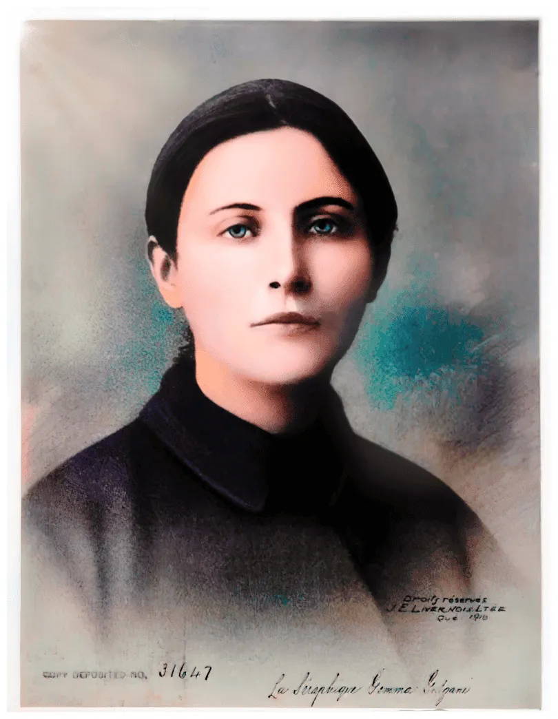 Dehon cinema international