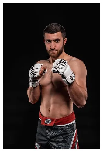 2以上の無料ファイティングポーズ&カマキリ画像 pixabay