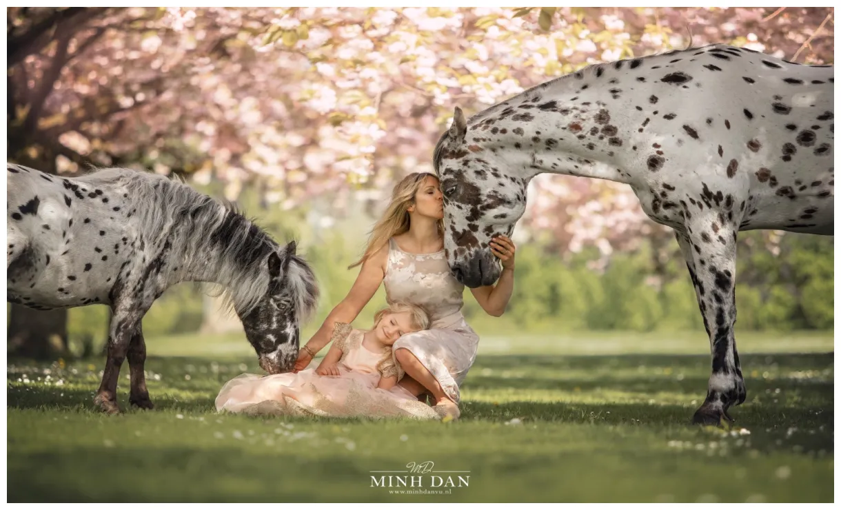 Greetje arends-hakvoort bringing two hearts together stable express