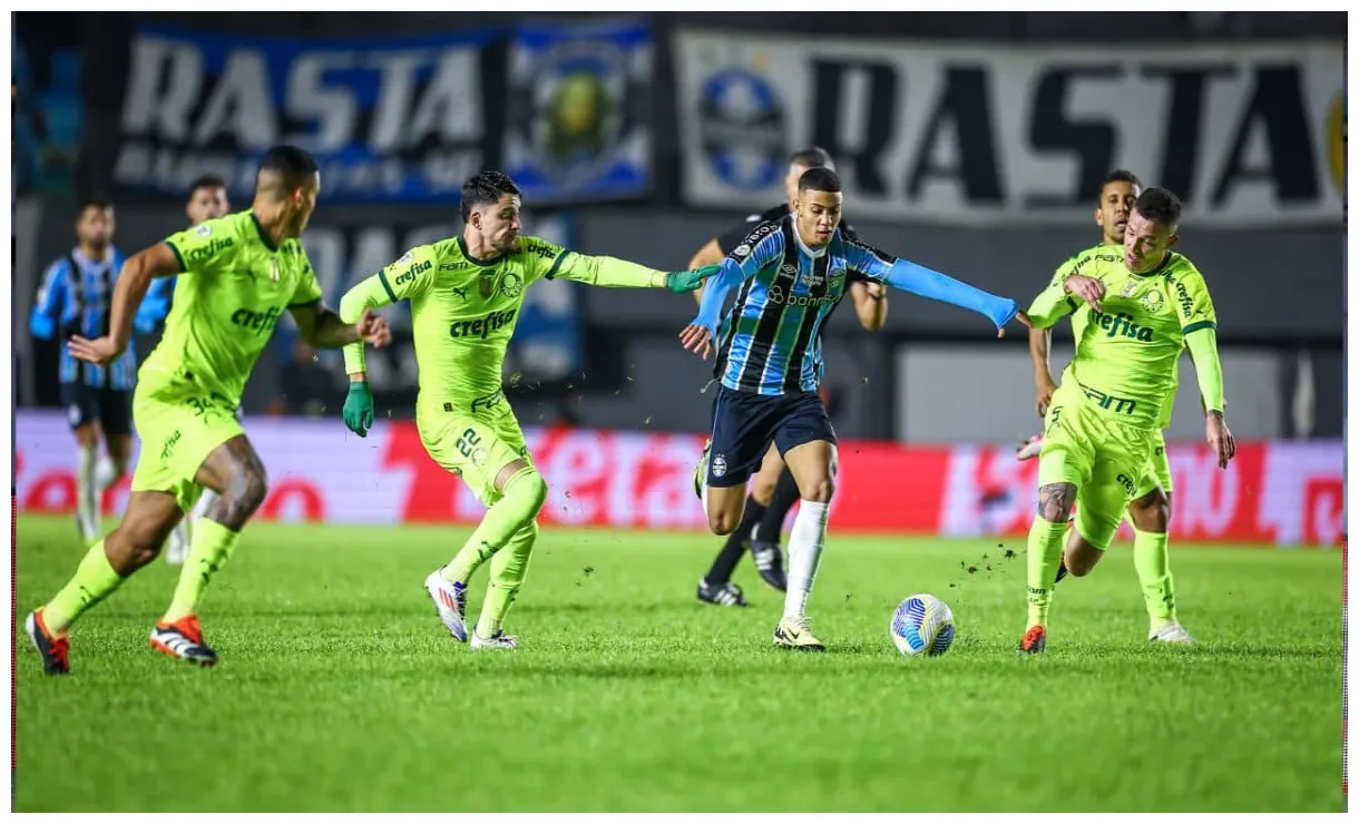 Palmeiras divulga venda de ingressos contra o grêmio. veja o cronograma!