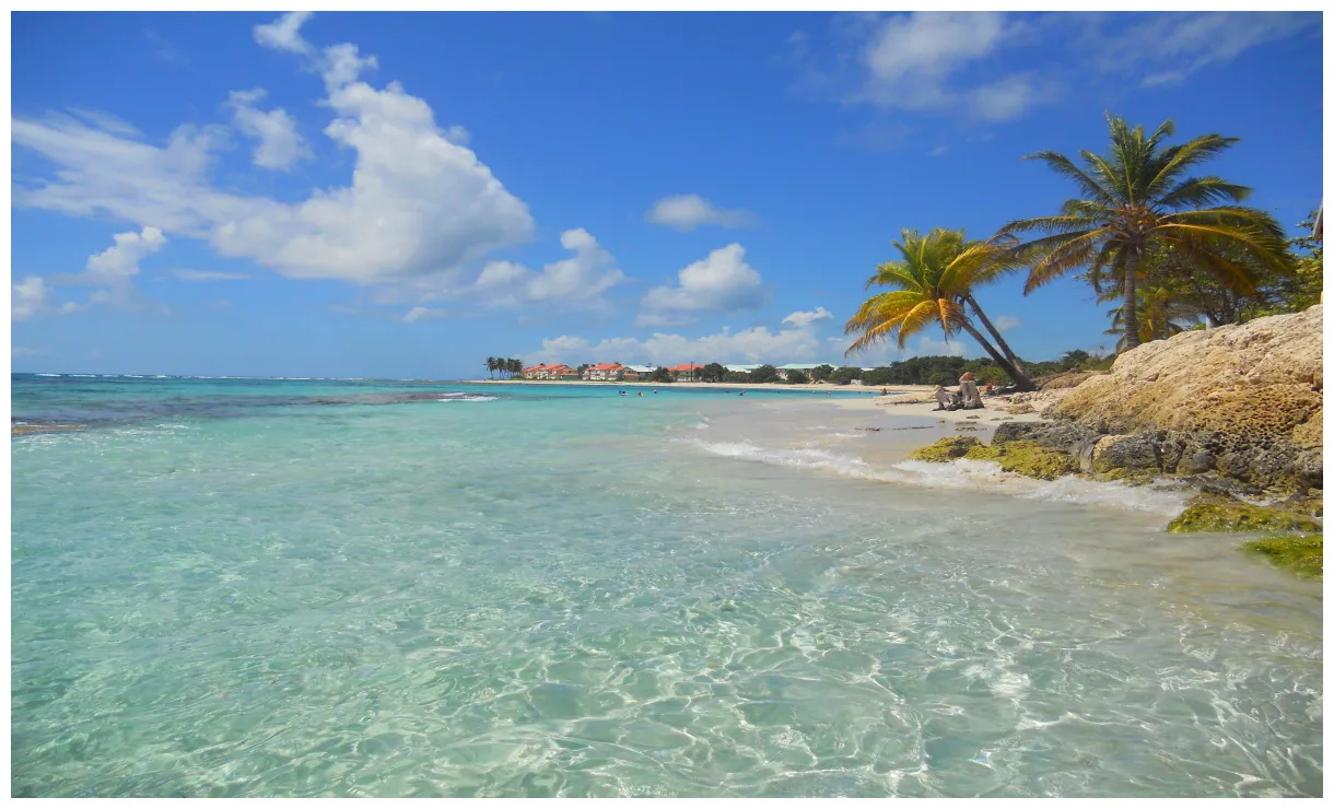 Plage des raisins clairs. Saint-François. Guadeloupe. | Plage