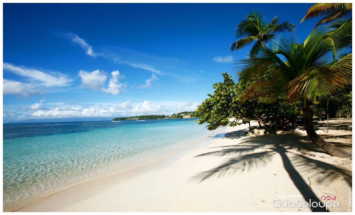 Plage de la caravelle, sainte-anne # plage